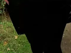 Irmã com cabelo vídeo pornô gratuito para assistir loiro pega em espasmo